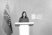 Venezuela propone a África una alianza energética para el desarrollo soberano