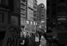 España se levanta contra genocidio israelí