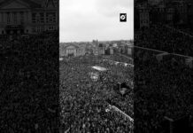 Ámsterdam se desborda para exigir fin del genocidio en Gaza