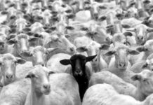 Para despertar a las ovejas hay que apagar internet