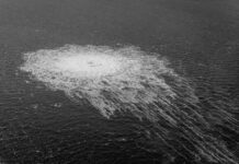 «No queremos una Europa donde los primeros ministros defiendan a terroristas»: Hungría responde a Polonia