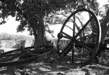 Memorias de un templo sagrado