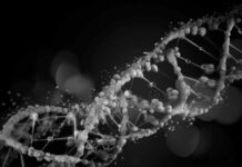 La inesperada consecuencia del covid-19 en las generaciones futuras