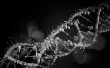 La inesperada consecuencia del covid-19 en las generaciones futuras