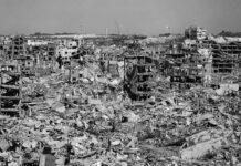 Gaza no olvidará, Palestina recordará