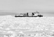 La flota mercante china se abre paso a través del Ártico por primera vez