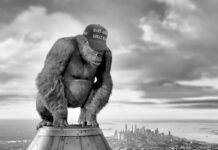 Hitlerismo, trumpismo, netanyahismo, lepenismo, macronismo. un enfoque comparativo y expresionista