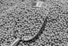 Los dos gigantes latinoamericanos que desplazan a EE.UU. en el mercado chino de soya