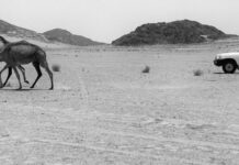 La descolonización del Sáhara pone a Rusia en el centro del Magreb