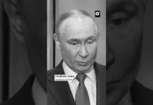 Putin advierte respuesta arrolladora a ataque con misiles Tomahawk