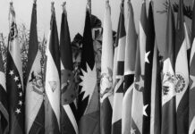 ALBA suspende al gobierno de ultraderecha de Bolivia por colonialista