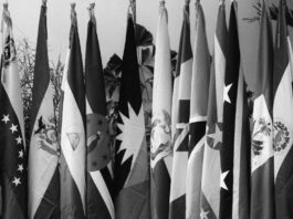 ALBA suspende al gobierno de ultraderecha de Bolivia por colonialista