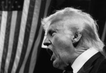 Crimen y criminalidad en las relaciones internacionales