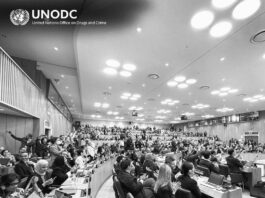 Cuba suscribe Convención de las Naciones Unidas contra la Ciberdelincuencia