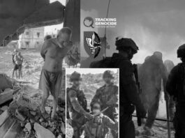 Soldados sionistas utilizaron en Gaza a ancianos palestinos como escudos humanos antes de ser asesinados