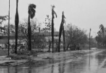 VIDEOS: Así se ven las calles de la región oriental de Cuba tras el paso de Melissa