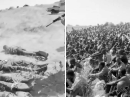 Sudán: Indignación pública contra los Emiratos Árabes Unidos