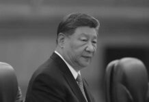 Xi Jinping propone 5 puntos para un Asia-Pacífico global y equitativa