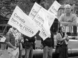 Canadienses exigen su salida de la OTAN