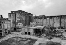 Enviado del Kremlin expone la razón de la desindustrialización de Alemania