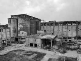 Enviado del Kremlin expone la razón de la desindustrialización de Alemania