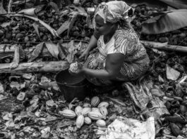 Incertidumbre y atolladeros crónicos