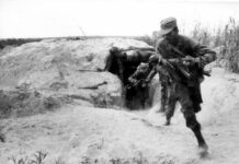 «Los camaradas cubanos siguen contribuyendo a la Nueva Angola»