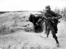 «Los camaradas cubanos siguen contribuyendo a la Nueva Angola»