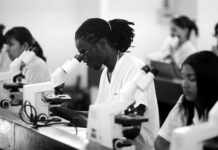 Cuba transformará su sistema de Ciencia, Tecnología e Innovación