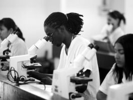 Cuba transformará su sistema de Ciencia, Tecnología e Innovación