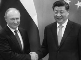 Domando el ruido y la furia del Imperio del caos