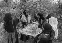 Palestina reporta escalada de agresiones de colonos israelíes en Cisjordania ocupada