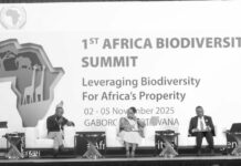 Sudáfrica por fin de saqueo histórico de recursos naturales africanos