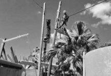 Cifras preliminares muestran el saldo negativo de Melissa y lo indomable de su pueblo