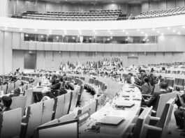 Desafíos de migración en África demandan compromiso colectivo