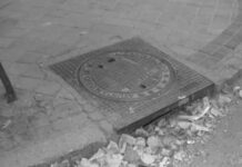 El gran negocio de la mierda