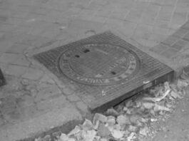 El gran negocio de la mierda