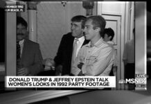 Los lazos de Epstein con la inteligencia israelí eran más que estrechos