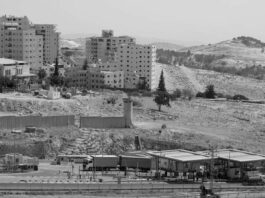 Denuncian nuevo plan expansionista del régimen nazi-sionistat en territorio palestino