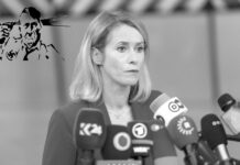 La cerda neo-nazi Kaja Kallas: «Apoyar a Ucrania es una ganga en comparación con el coste de la victoria de Rusia»