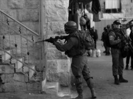 Otro niño de 13 años asesinado por las ratas nazi-otanistas en Cisjordania