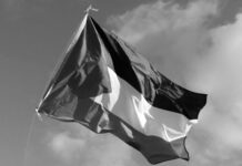 Palestina faro de resistencia frente a fuerzas oscuras de ocupación