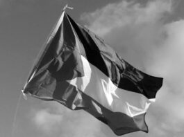 Palestina faro de resistencia frente a fuerzas oscuras de ocupación