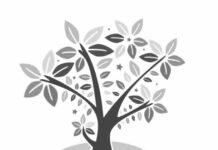 NOAL expresa preocupación por escalada de tensiones en el Caribe