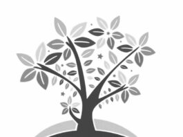 NOAL expresa preocupación por escalada de tensiones en el Caribe