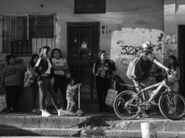 Gestión de Milei generó la perdida de casi 300 mil empleos en Argentina