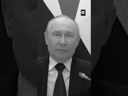 Putin resalta progreso de central egipcia