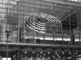 El lobby mafioso que opera dentro del europarlamento exige que sea obligatorio tener un plan de pensiones privado