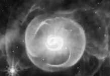 El telescopio Webb toma foto de un embrión cósmico