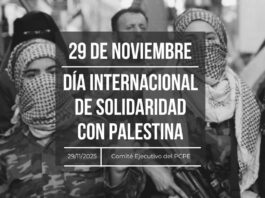 29 de noviembre: Día Internacional de Solidaridad con Palestina